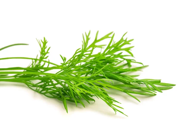 Fresh Dill Sprig Isolated White Background — Stock Photo, Image