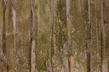 Eski ahşap doku ve arka plan ile çizikler, kahverengi ahşap plakalar için görüntüler