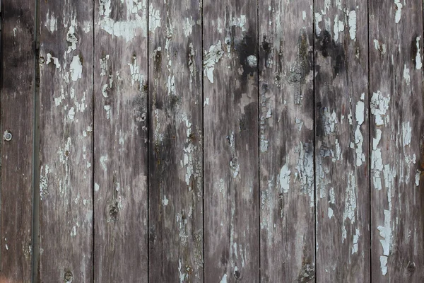 Rusztikus fa háttér textúra a csomót, és köröm lyukak — Stock Fotó