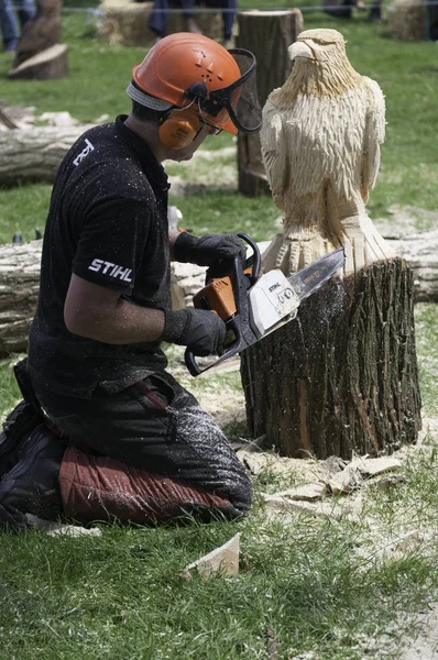 Chainsaw wood carving wood sculpture — Stock Photo, Image