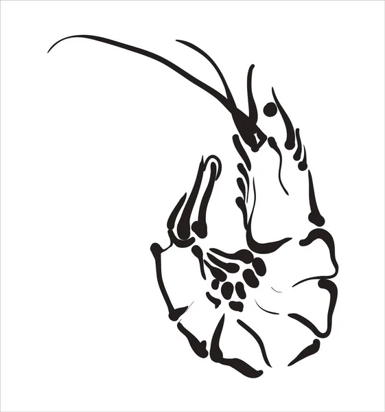 Shrimp Symbol Shrimp Vektor Isoliert Auf Weißem Hintergrund — Stockvektor