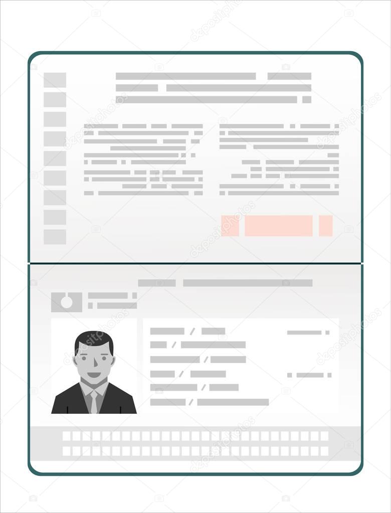 Passport with biometric data. Identification Document Flat Vector Illustration