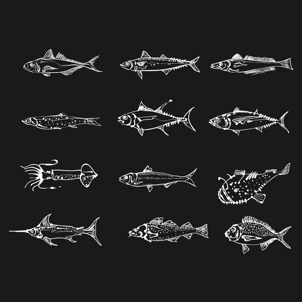 Set Sketches Different Fishes Vector Illustration — Stock Vector