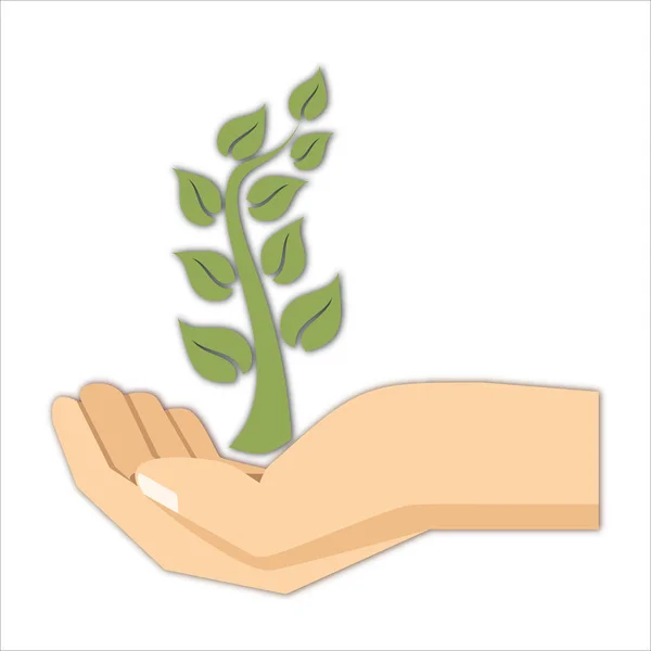 Tutarak Bitki Simgesi Büyüme Kavramı Vektör Illüstrasyon — Stok Vektör