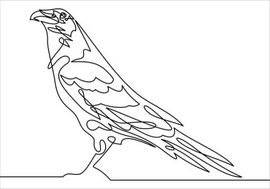 kuş sadece vektör illüstrasyon