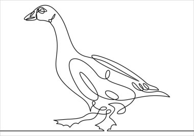 kuş sadece vektör illüstrasyon