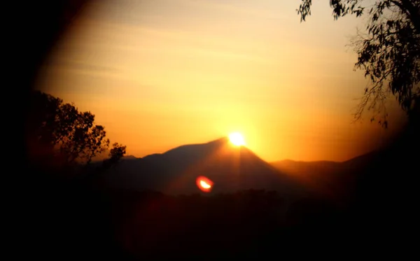 背景是山的轮廓 前景是树的日落的生动形象 — 图库照片