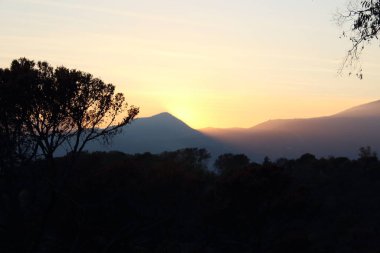 Arka planda dağların silueti ve ön planda ağaç ile günbatımının anımsatıcı görüntüsü
