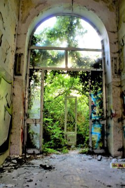 2019.06.16 - Limbiate, Milan, Italy, photographic reportage madhouse in Mombello, abandoned psychiatric hospital service exit door to access the garden with tree in the background clipart