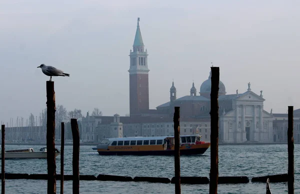Венеция Италия Декабря 2018 Воспоминательное Изображение Купола Базилики Сан Джорджо — стоковое фото