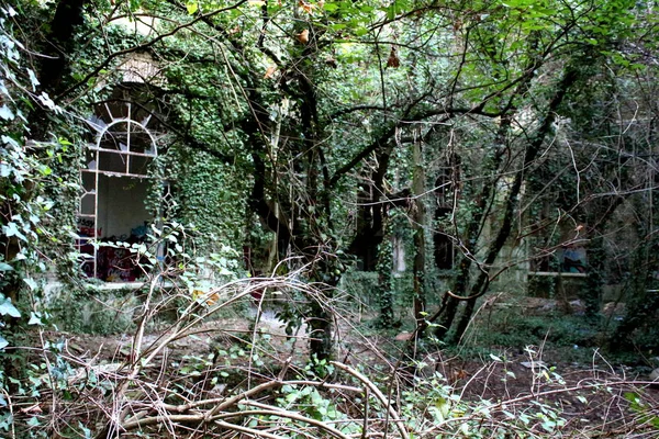 2019 Limbiate Milan Italy Photographic Reportage Asylum Mombello Abandoned Psychiatric — Stock Photo, Image