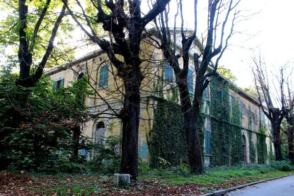 2019 Limbiate Milan Italy Photographic Reportage Madhouse Mombello Abandoned Psychiatric — Stock Photo, Image