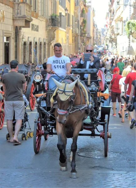 2017年6月2日 意大利罗马 关于骑马旅游的生动形象 — 图库照片