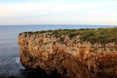 Denize bakan, çok eski bir gözetleme kulesi ve kıyısı olan bir filonun canlandırıcı görüntüsü.