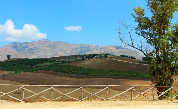 Сицилийская Сельская Местность Первыми Деревьями Горами Голубое Небо Облака Заднем — стоковое фото