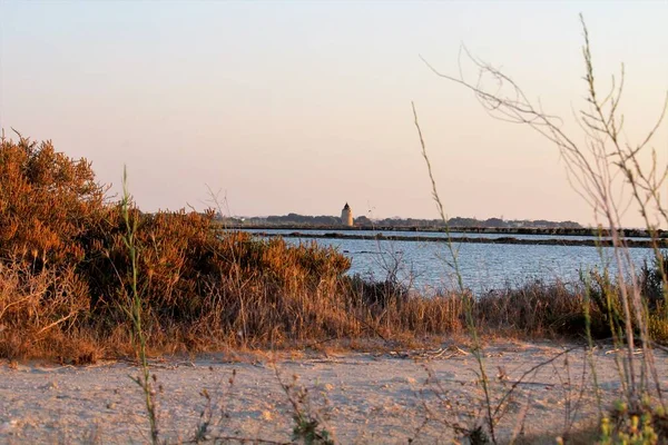Солончаки Морем Растительностью Переднем Плане Башня Заднем Плане Закате — стоковое фото