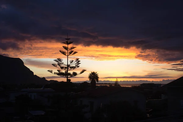 Збуджуюче Зображення Заходу Сонця Низькими Хмарами Силуетом Дерева Передньому Плані — стокове фото