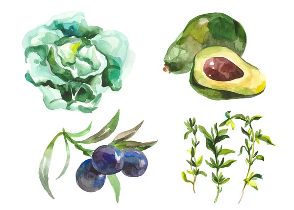 Akvarell grönsaker isolerad på vit — Stock vektor