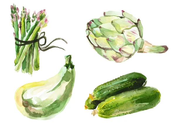 Légumes aquarelle isolés sur blanc — Image vectorielle