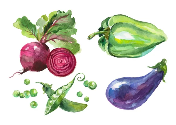 Akvarell grönsaker isolerad på vit — Stock vektor