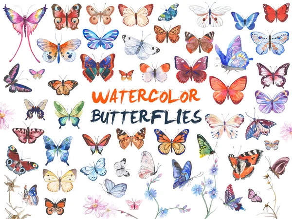 Aquarell Schmetterlinge Illustration — Stockvektor