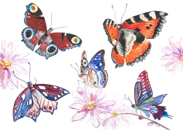 Motyle akwarela, ilustracja — Zdjęcie stockowe