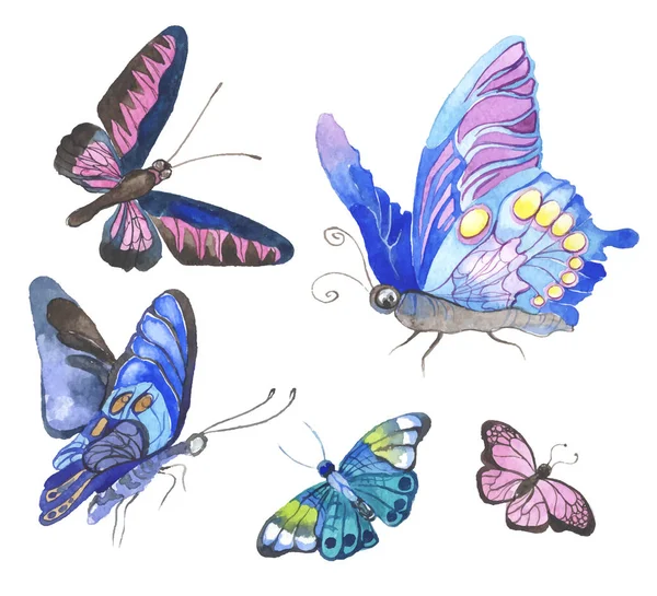 Acuarela mariposas ilustración — Vector de stock