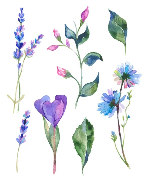 Aquarela flores ilustração —  Vetores de Stock