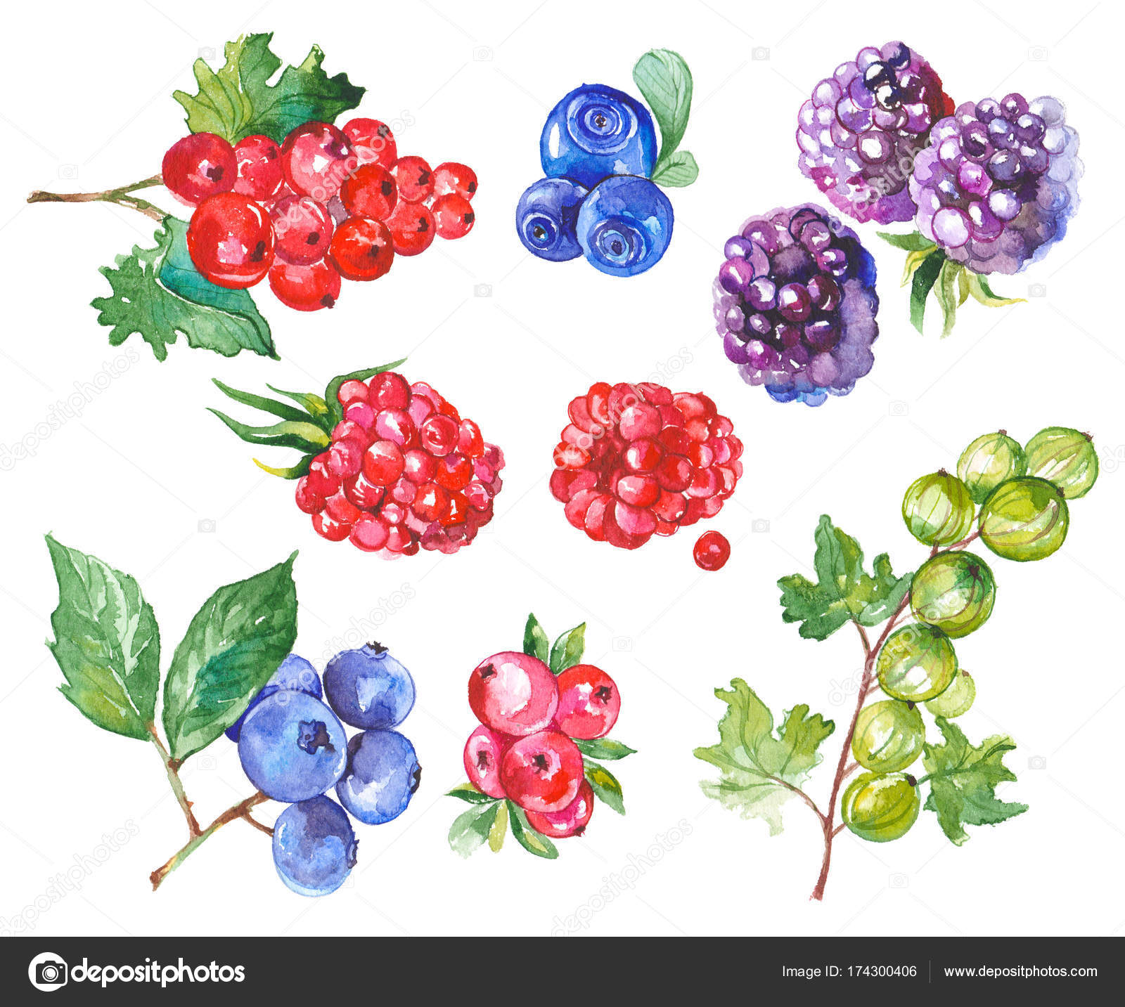 Acquerello dipinto di raccolta dei frutti Elementi di disegno di cibo fresco isolati su priorit  bassa bianca disegnata a mano — Foto di vasabii777