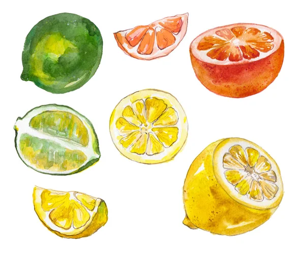 Acuarela de frutas aisladas en blanco —  Fotos de Stock