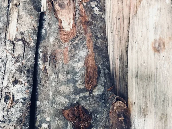 arka plan için kullanarak, kabuğu ile yakacak odun yüzeyinin üst görünüm atış