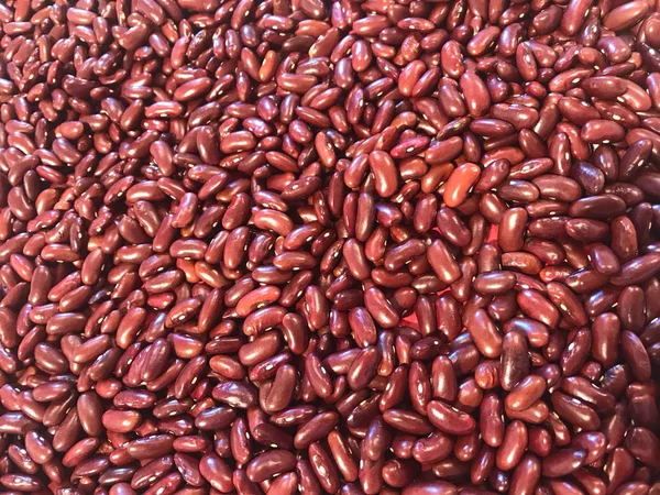 Stüdyoda tam kare kırmızı fasulye.