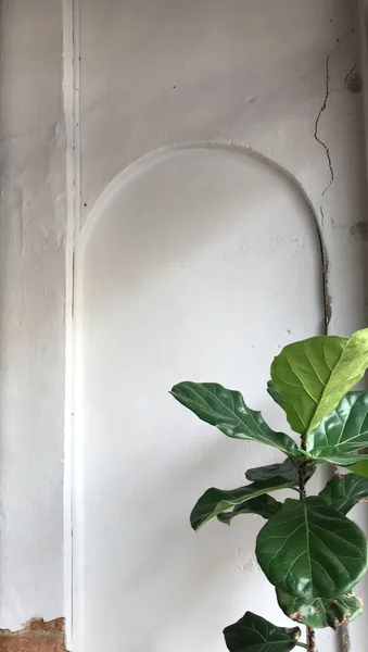 Dirancang Dinding Semen Putih Antik Dengan Ruang Retak Yang Menunjukkan Stok Foto
