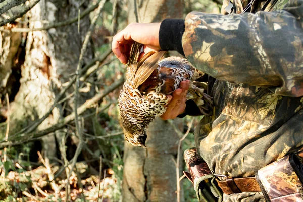Hunter holds a grouse in his hands. Tetrastes bonasia — Stock Photo, Image
