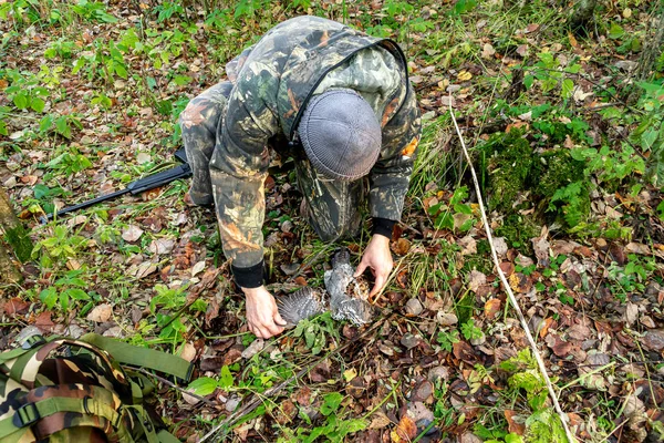 A hunter examines a downed grouse lying on the ground covered with fallen foliage — Stock Image A hunter examines a downed grouse lying on the ground covered with fallen foliage Stock Picture