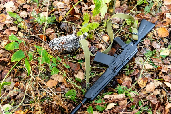 Autumn hunting and poaching, opening of the hunting season, hazel grouse and hunting weapons on fallen leaves — Stock Image Autumn hunting and poaching, opening of the hunting season, hazel grouse and hunting weapons on fallen leaves Royalty Free Stock Images