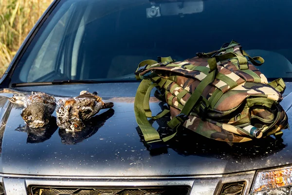 Backpack and grouse lie on the hood of the car — Stock Image Backpack and grouse lie on the hood of the car Royalty Free Stock Images