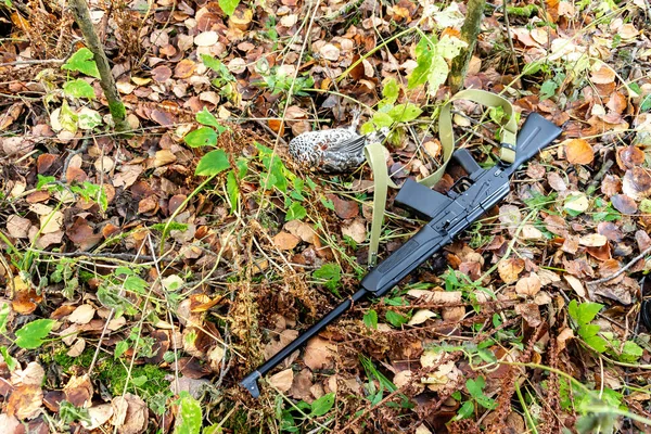 Autumn hunting and poaching, opening hunting season, hazel grouse and hunting weapons on fallen leaves, selective focus — Stock Image Autumn hunting and poaching, opening hunting season, hazel grouse and hunting weapons on fallen leaves, selective focus Royalty Free Stock Images