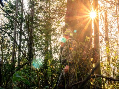 Güneş ağaçların arasında parlıyor. Kamuflajlı bir avcı bir ağacın arkasında duruyor.