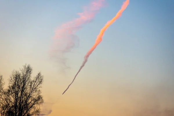 En el cielo rastro de un avión volando hacia el sol, silueta de árbol —  Fotos de Stock