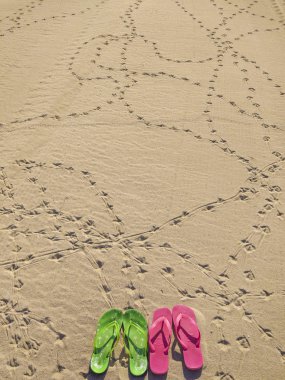 Renkli Fliflops masa üstü Valencia Beach