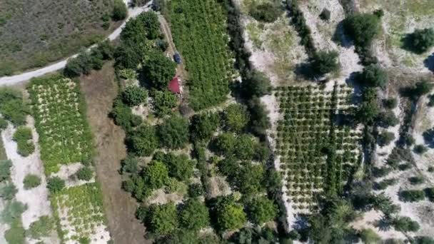 Aérea - Montaña Verde Granjas y pueblos europeos Paisaje — Vídeos de Stock