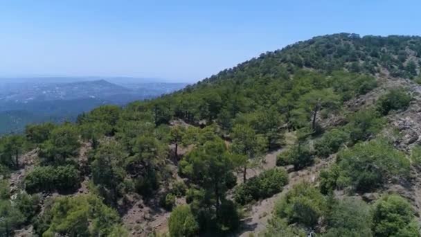 Moving Forward to Green Olive Trees and Mountain Valley in Summer Day. — Stock Video