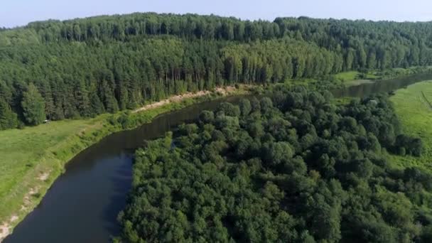 Vista aérea del verde bosque de verano con campos y río — Vídeos de Stock