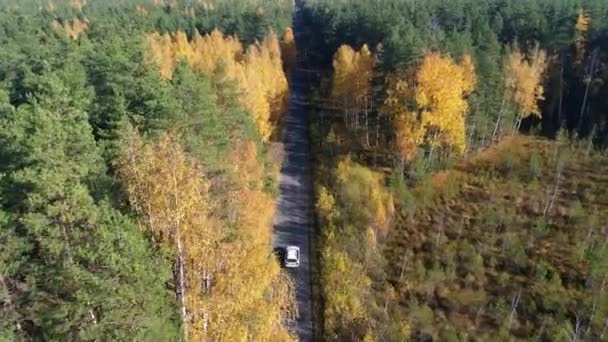 Vista aérea sobre carretera en el bosque en otoño con coches . — Vídeo de stock