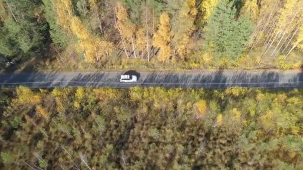 Flygfoto ovanför vägen i skogen i höst med bilar. — Stockvideo