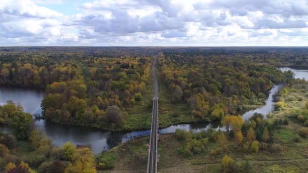 Sonbahar ormanında bir demiryolunun üzerinde uçuyor. — Stok video