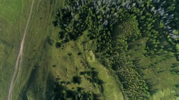A terület és az erdő légi rálátása. — Stock videók