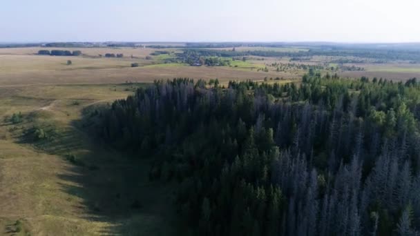 Vista Aérea Panorâmica Impressionante Acima Campo Com Floresta Abeto Vale — Vídeo de Stock