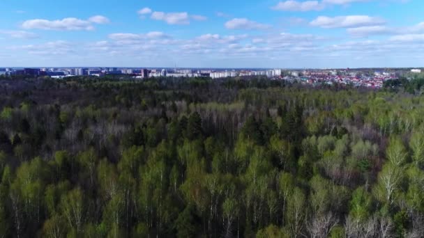 Vacker Solig Vårdag Oändlig Skog Blå Himmel Nära Liten Stad — Stockvideo